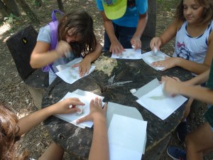 Hit the leaf with the stone. what do you get