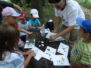 My yellow flower and my green leaf