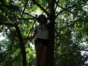 Our tree! we can all climb up and we can all climb down..