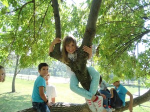 Our tree! we can all climb up..