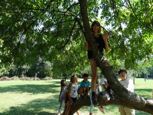 Our tree! we can all climb up