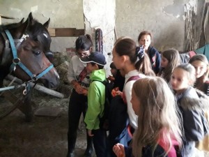 67499117_944510429232611_2634675661129646080_n