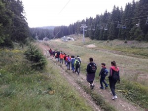 67779047_944510352565952_5077792778675552256_n