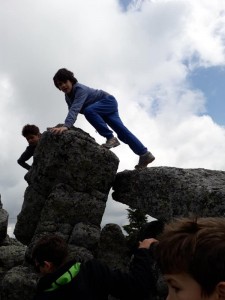 67806774_945223315827989_7107228266997481472_n