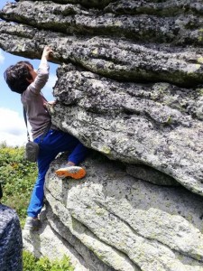 67897760_945835615766759_3301325967825305600_n