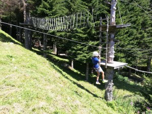 67792669_946490342367953_1670699062183067648_n