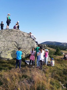 68374150_947129675637353_6387541973258993664_n