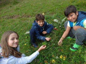 38217125_703687533314903_5995100713955360768_n