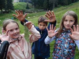 38222601_703686549981668_584823603384549376_n