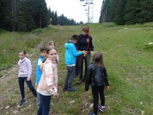 38223847_703689543314702_1225611150327021568_n