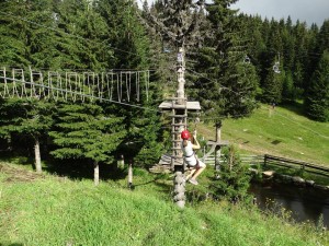 38420456_703688003314856_4852069050152386560_n