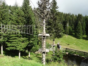 38444837_703686836648306_6470382134233137152_n