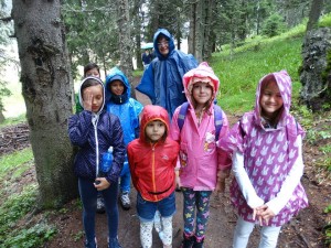 38446672_703689496648040_2181652432122019840_n