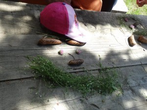 38465861_705839066433083_6122842249748283392_n