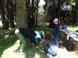 38526594_705839079766415_7761190943948013568_n