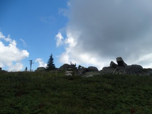 38482107_706926069657716_4161898630665469952_o