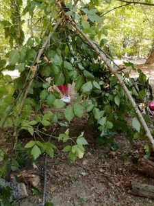 20917017_10212080418800003_898326721_n