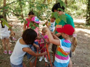 20945274_10212080415719926_1642940990_o